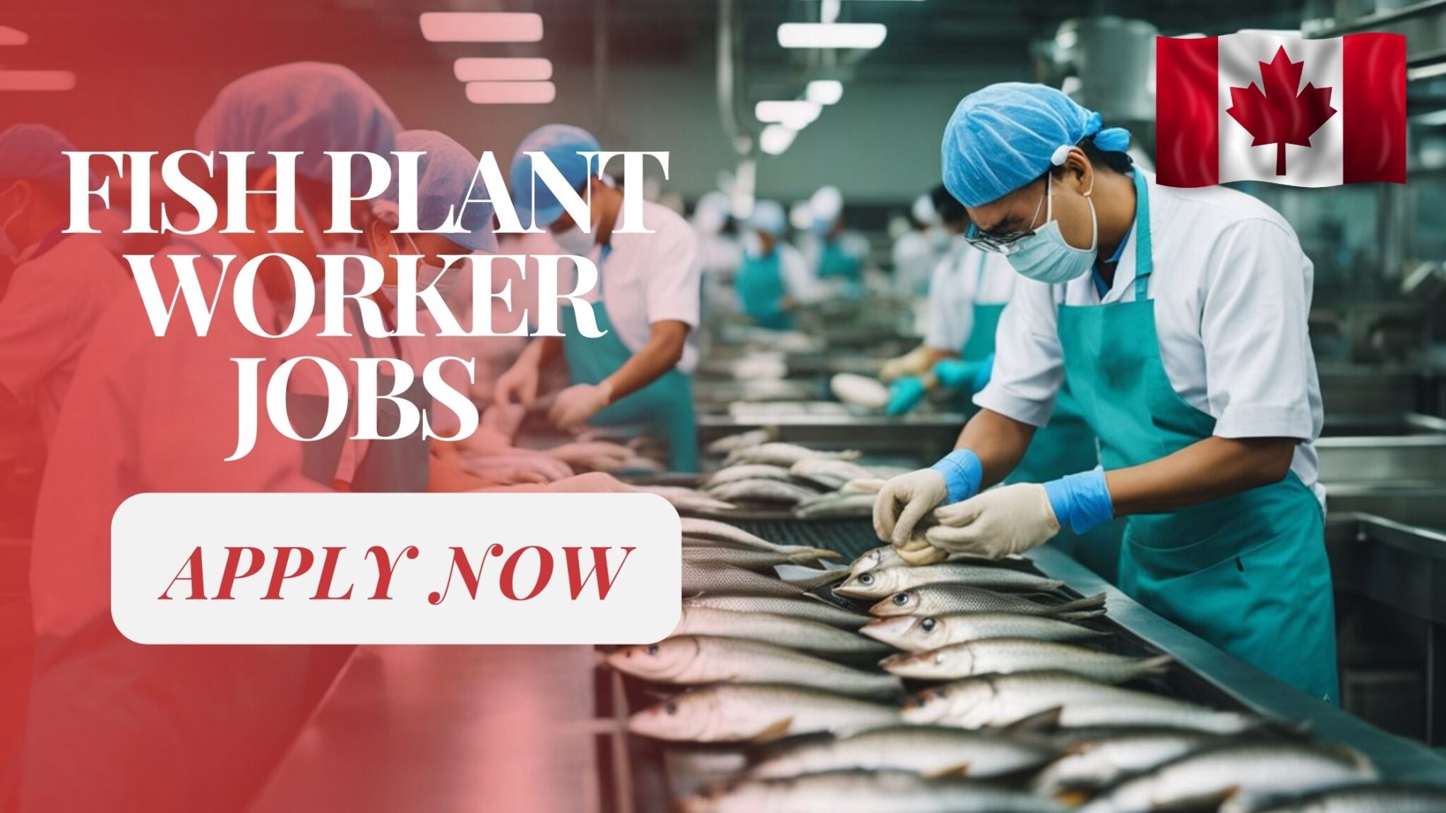 Fish Plant Worker Jobs in Canada