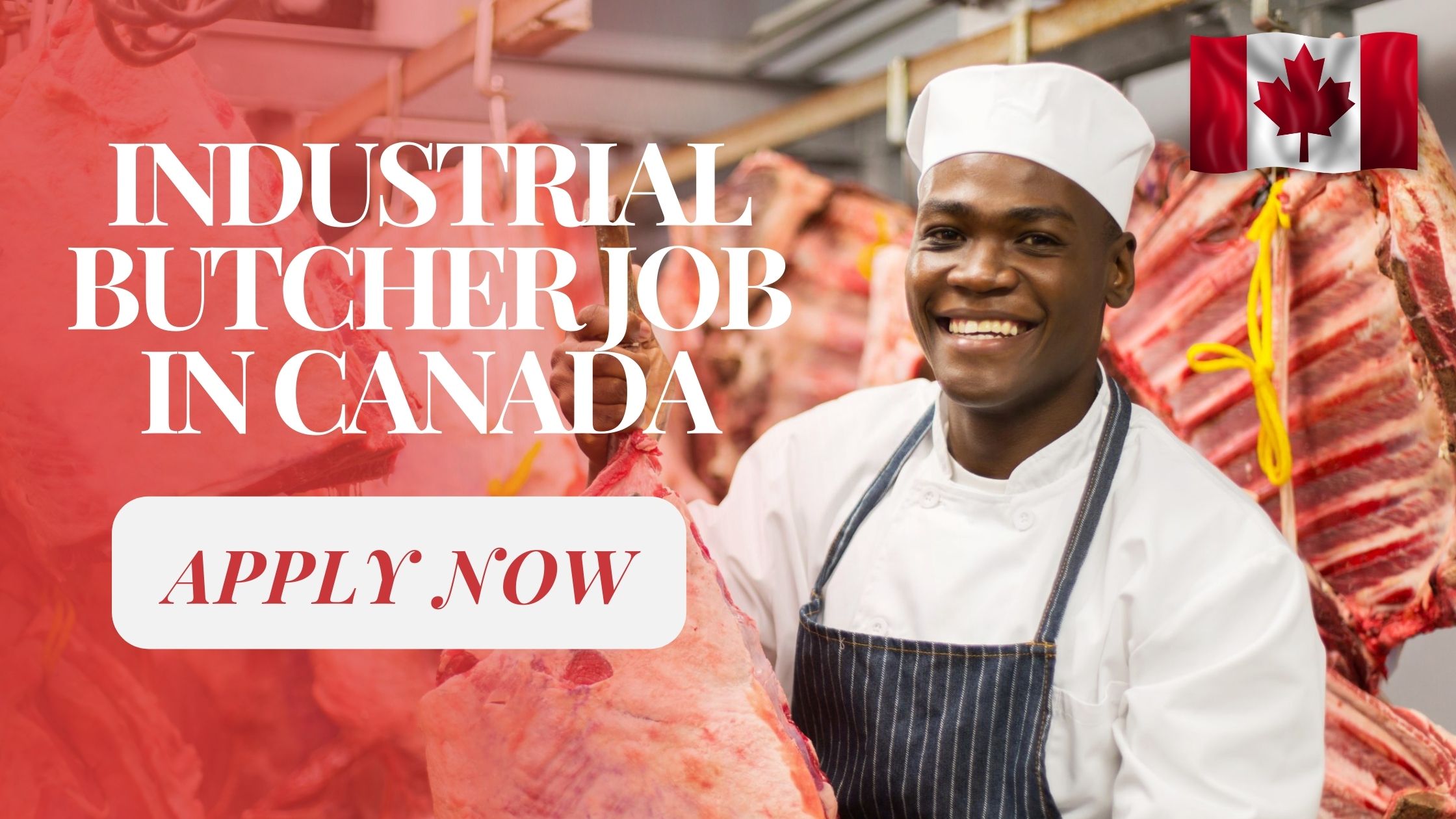 Industrial Butcher Job in Canada