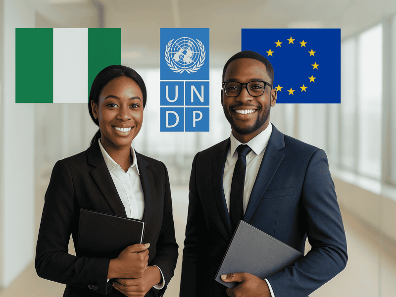 Nigeria Jubilee Fellows Programme 2025